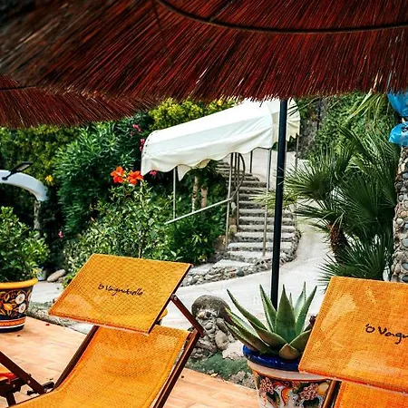 Hotel O' Vagnitiello - Parco Balneare Idroterapico - - Ristorante